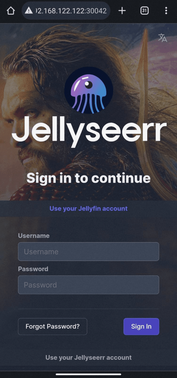 Página jellyseer